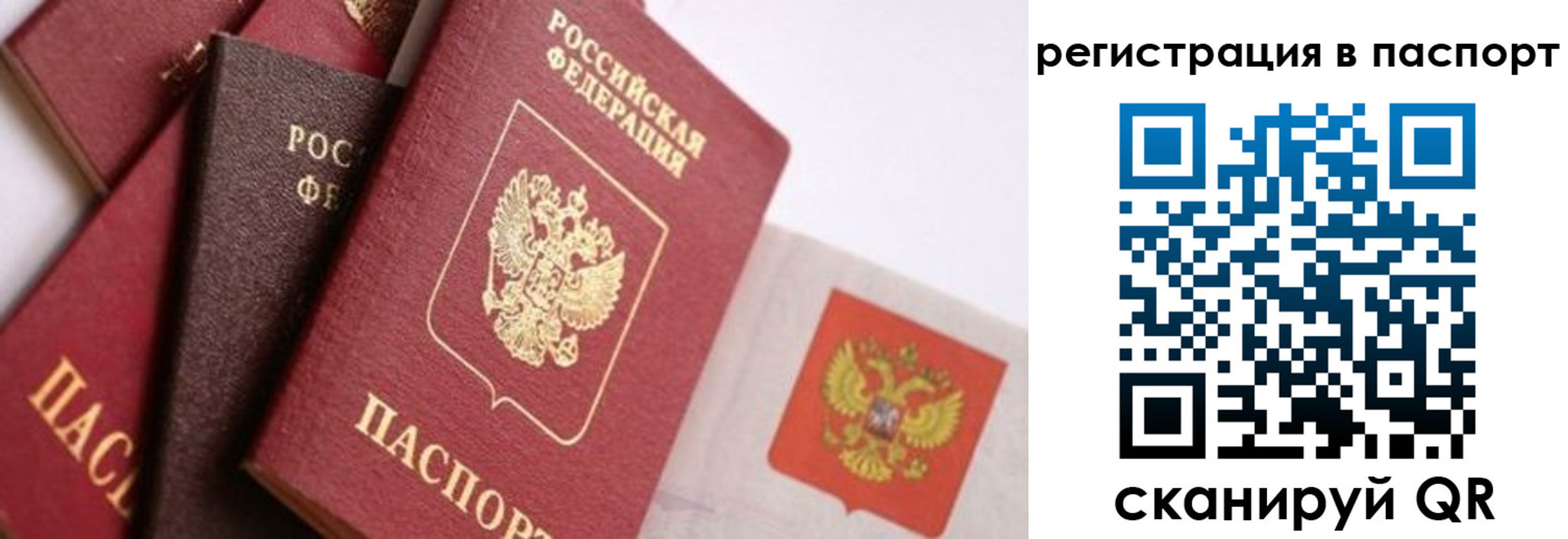 прописка в квартире в Сельцо